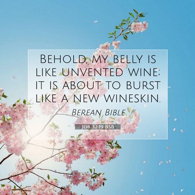 Picture 07 - Job 32:19 BSB - Behold, my belly is like unvented wine; it is - Bible Verse Picture