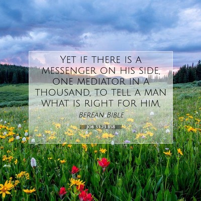 Picture 07 - Job 33:23 BSB - Yet if there is a messenger on his side, one - Bible Verse Picture