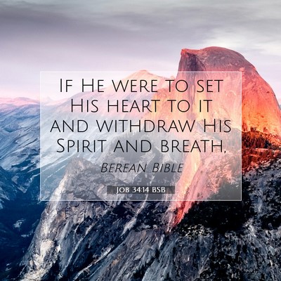 Picture 07 - Job 34:14 BSB - If He were to set His heart to it and withdraw - Bible Verse Picture