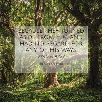 Picture 07 - Job 34:27 BSB - because they turned aside from Him and had no - Bible Verse Picture