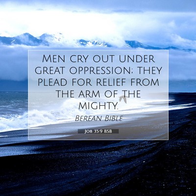 Picture 07 - Job 35:9 BSB - Men cry out under great oppression; they plead - Bible Verse Picture