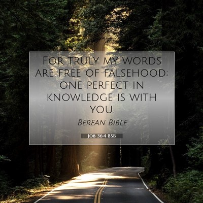 Picture 07 - Job 36:4 BSB - For truly my words are free of falsehood; one - Bible Verse Picture