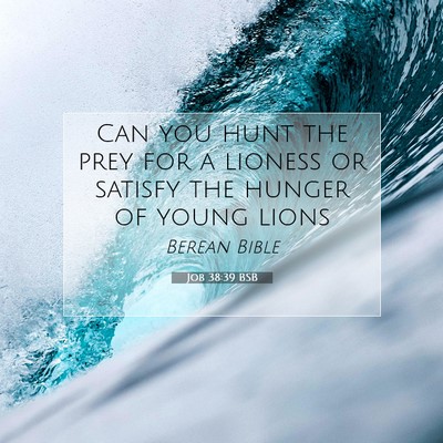 Picture 07 - Job 38:39 BSB - Can you hunt the prey for a lioness or satisfy - Bible Verse Picture
