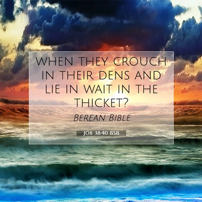 Picture 07 - Job 38:40 BSB - when they crouch in their dens and lie in wait in - Bible Verse Picture