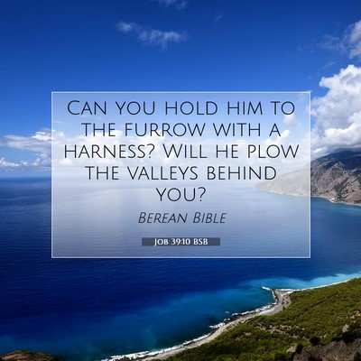 Picture 07 - Job 39:10 BSB - Can you hold him to the furrow with a harness? - Bible Verse Picture