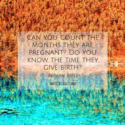 Picture 07 - Job 39:2 BSB - Can you count the months they are pregnant? Do - Bible Verse Picture