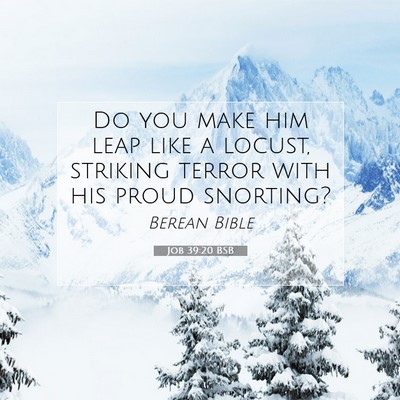Picture 07 - Job 39:20 BSB - Do you make him leap like a locust, striking - Bible Verse Picture
