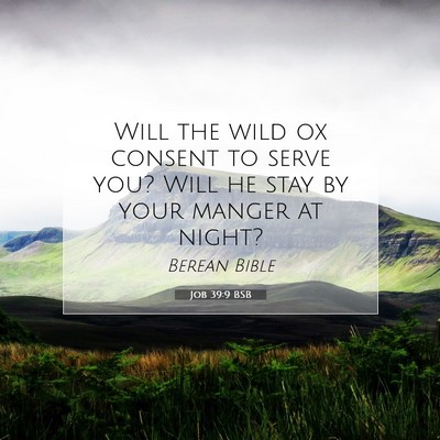 Picture 07 - Job 39:9 BSB - Will the wild ox consent to serve you? Will he - Bible Verse Picture