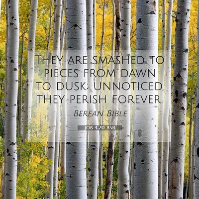 Picture 07 - Job 4:20 BSB - They are smashed to pieces from dawn to dusk; - Bible Verse Picture
