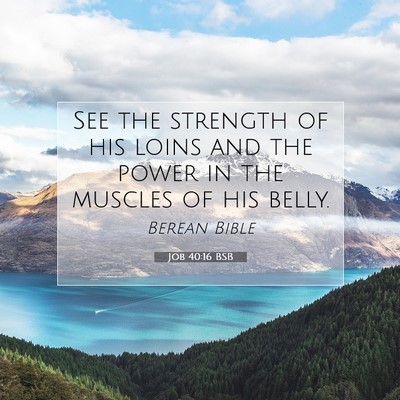 Picture 07 - Job 40:16 BSB - See the strength of his loins and the power in - Bible Verse Picture