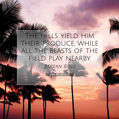 Picture 07 - Job 40:20 BSB - The hills yield him their produce, while all the - Bible Verse Picture