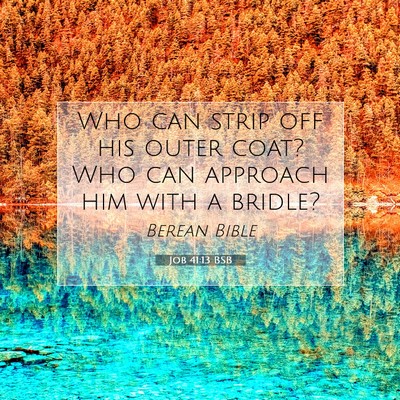 Picture 07 - Job 41:13 BSB - Who can strip off his outer coat? Who can - Bible Verse Picture