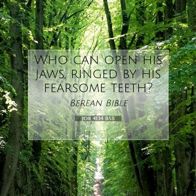 Picture 07 - Job 41:14 BSB - Who can open his jaws, ringed by his fearsome - Bible Verse Picture