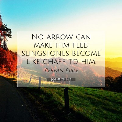 Picture 07 - Job 41:28 BSB - No arrow can make him flee; slingstones become - Bible Verse Picture