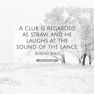 Picture 07 - Job 41:29 BSB - A club is regarded as straw, and he laughs at the - Bible Verse Picture