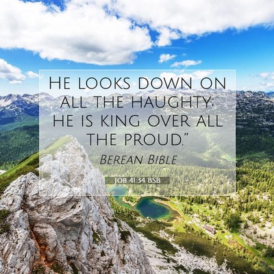 Picture 07 - Job 41:34 BSB - He looks down on all the haughty; he is king over - Bible Verse Picture
