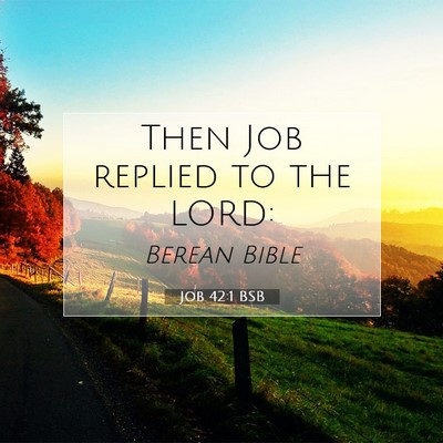 Picture 07 - Job 42:1 BSB - Then Job replied to the - Bible Verse Picture