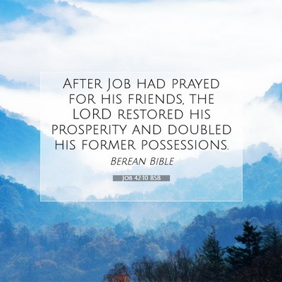 Picture 07 - Job 42:10 BSB - After Job had prayed for his friends, the LORD - Bible Verse Picture