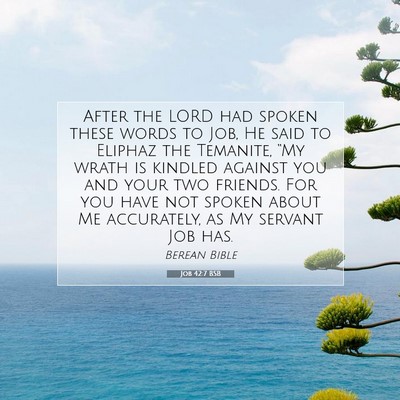 Picture 07 - Job 42:7 BSB - After the LORD had spoken these words to Job, He - Bible Verse Picture