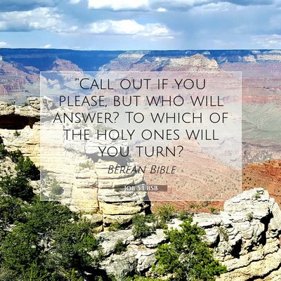 Picture 07 - Job 5:1 BSB - “Call out if you please, but who will answer? - Bible Verse Picture