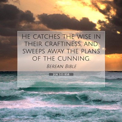 Picture 07 - Job 5:13 BSB - He catches the wise in their craftiness, and - Bible Verse Picture