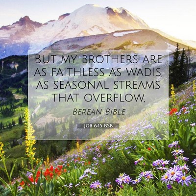 Picture 07 - Job 6:15 BSB - But my brothers are as faithless as wadis, as - Bible Verse Picture