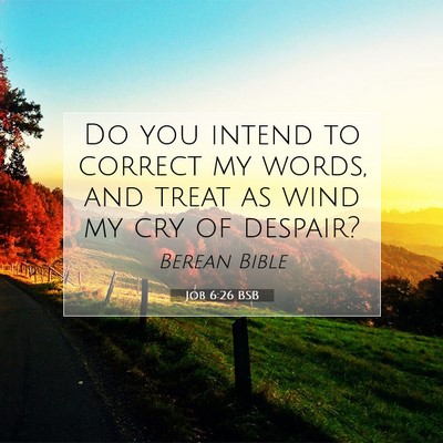 Picture 07 - Job 6:26 BSB - Do you intend to correct my words, and treat as - Bible Verse Picture