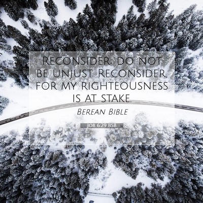 Picture 07 - Job 6:29 BSB - Reconsider; do not be unjust. Reconsider, for my - Bible Verse Picture