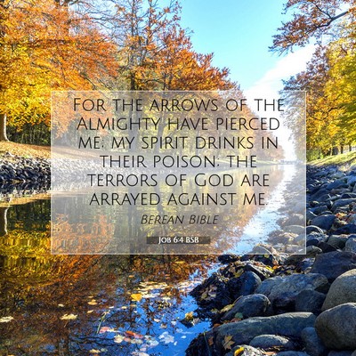 Picture 07 - Job 6:4 BSB - For the arrows of the Almighty have pierced me; - Bible Verse Picture