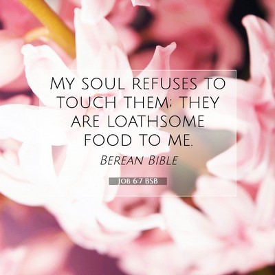 Picture 07 - Job 6:7 BSB - My soul refuses to touch them; they are loathsome - Bible Verse Picture