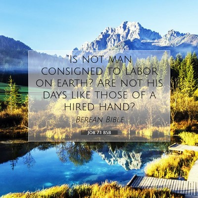 Picture 07 - Job 7:1 BSB - “Is not man consigned to labor on earth? Are - Bible Verse Picture