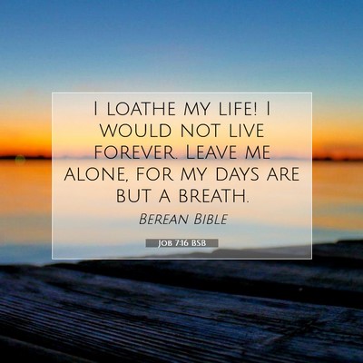 Picture 07 - Job 7:16 BSB - I loathe my life! I would not live forever. Leave - Bible Verse Picture
