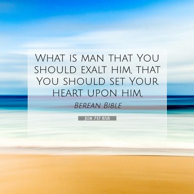 Picture 07 - Job 7:17 BSB - What is man that You should exalt him, that You - Bible Verse Picture