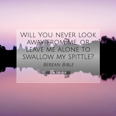 Picture 07 - Job 7:19 BSB - Will You never look away from me, or leave me - Bible Verse Picture