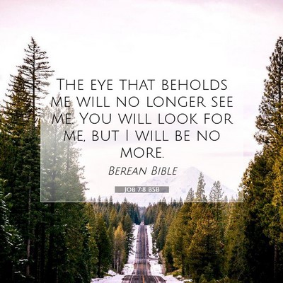 Picture 07 - Job 7:8 BSB - The eye that beholds me will no longer see me. - Bible Verse Picture
