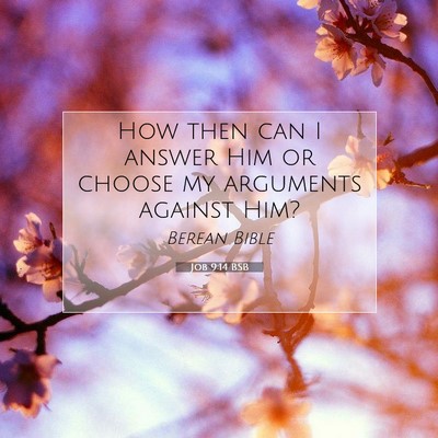 Picture 07 - Job 9:14 BSB - How then can I answer Him or choose my arguments - Bible Verse Picture