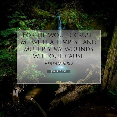 Picture 07 - Job 9:17 BSB - For He would crush me with a tempest and multiply - Bible Verse Picture