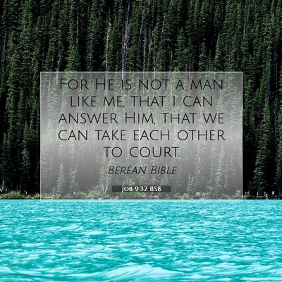 Picture 07 - Job 9:32 BSB - For He is not a man like me, that I can answer - Bible Verse Picture