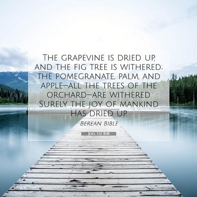 Picture 07 - Joel 1:12 BSB - The grapevine is dried up, and the fig tree is - Bible Verse Picture