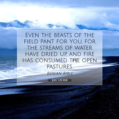 Picture 07 - Joel 1:20 BSB - Even the beasts of the field pant for You, for - Bible Verse Picture