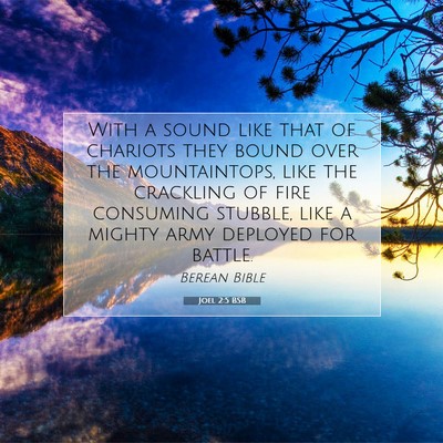 Picture 07 - Joel 2:5 BSB - With a sound like that of chariots they bound - Bible Verse Picture
