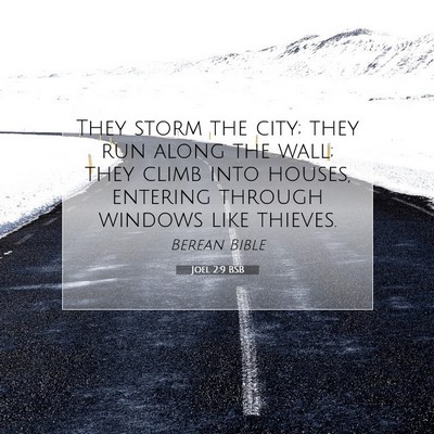 Picture 07 - Joel 2:9 BSB - They storm the city; they run along the wall; - Bible Verse Picture