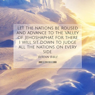 Picture 07 - Joel 3:12 BSB - Let the nations be roused and advance to the - Bible Verse Picture