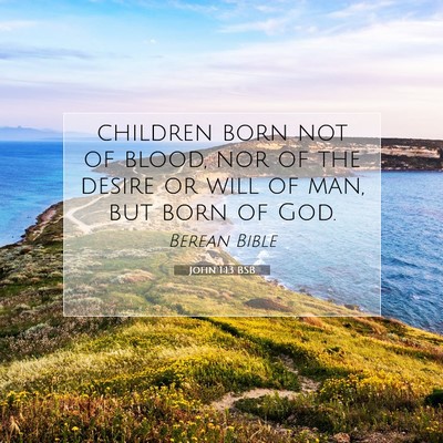 Picture 07 - John 1:13 BSB - children born not of blood, nor of the desire or - Bible Verse Picture