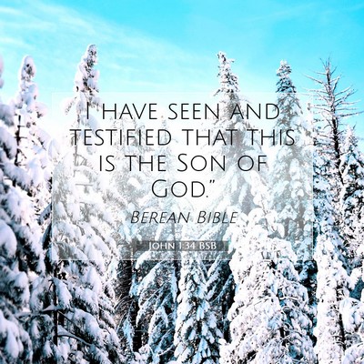 Picture 07 - John 1:34 BSB - I have seen and testified that this is the Son of - Bible Verse Picture