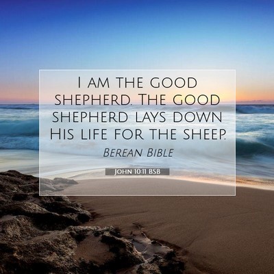 Picture 07 - John 10:11 BSB - I am the good shepherd. The good shepherd lays - Bible Verse Picture