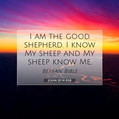 Picture 07 - John 10:14 BSB - I am the good shepherd. I know My sheep and My - Bible Verse Picture