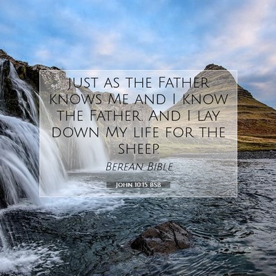 Picture 07 - John 10:15 BSB - just as the Father knows Me and I know the - Bible Verse Picture