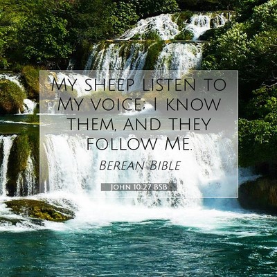 Picture 07 - John 10:27 BSB - My sheep listen to My voice; I know them, and - Bible Verse Picture