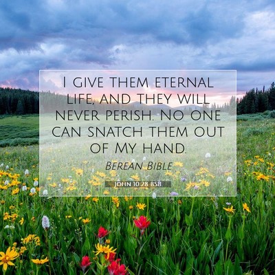 Picture 07 - John 10:28 BSB - I give them eternal life, and they will never - Bible Verse Picture